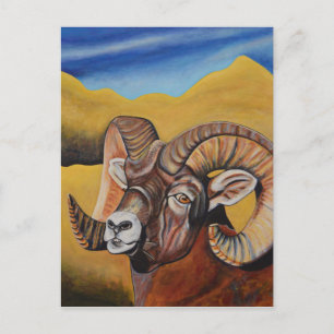 Postal Oveja Bighorn