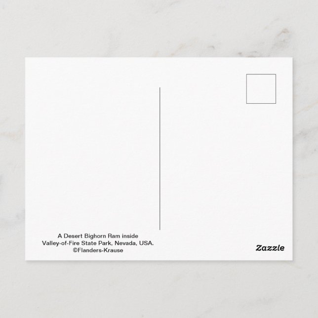 Postal Oveja Bighorn de desierto masculino - III (Reverso)