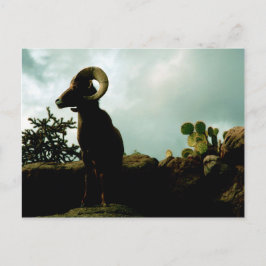 Postal Oveja Bighorn del desierto