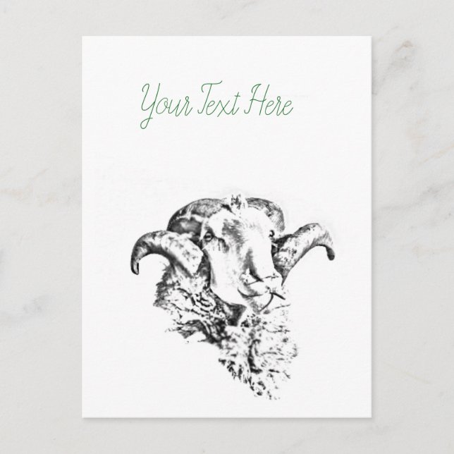 Postal Oveja Carnero Funky Lindo (Anverso)