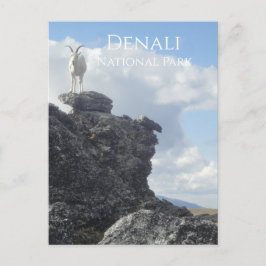 Postal Oveja de la cima del Monte Wright, Denali NP, Alas