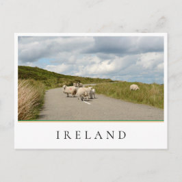 Postal Oveja en la carretera de Irlanda