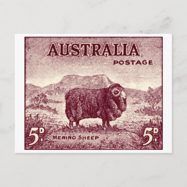 Postal Oveja Merino Australiana 1934 (Anverso)