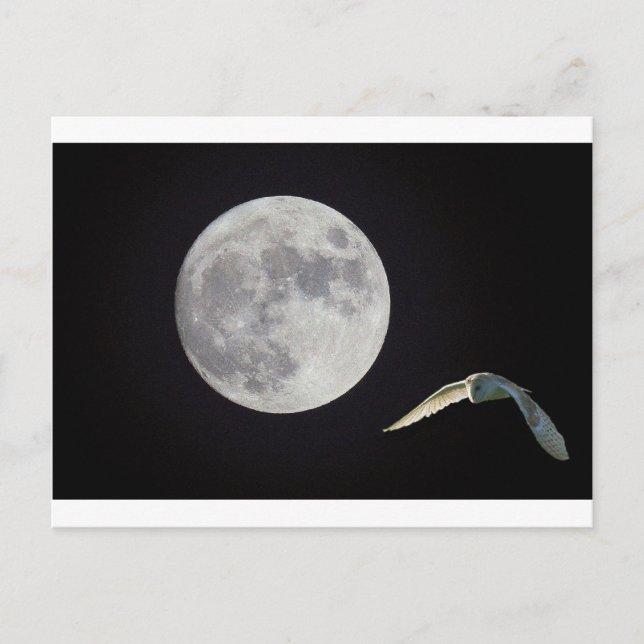 Postal Oveja nocturna (Anverso)