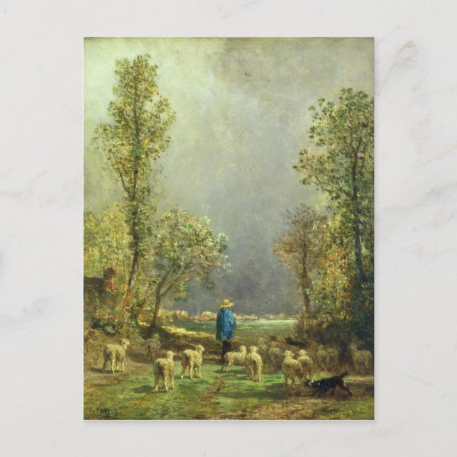 Postal Oveja viendo una tormenta (Anverso)