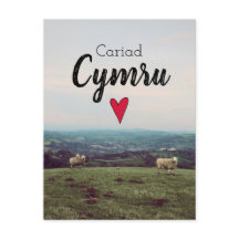 Ovejas Anfitrionas Cariad Cymru Vintage Gales