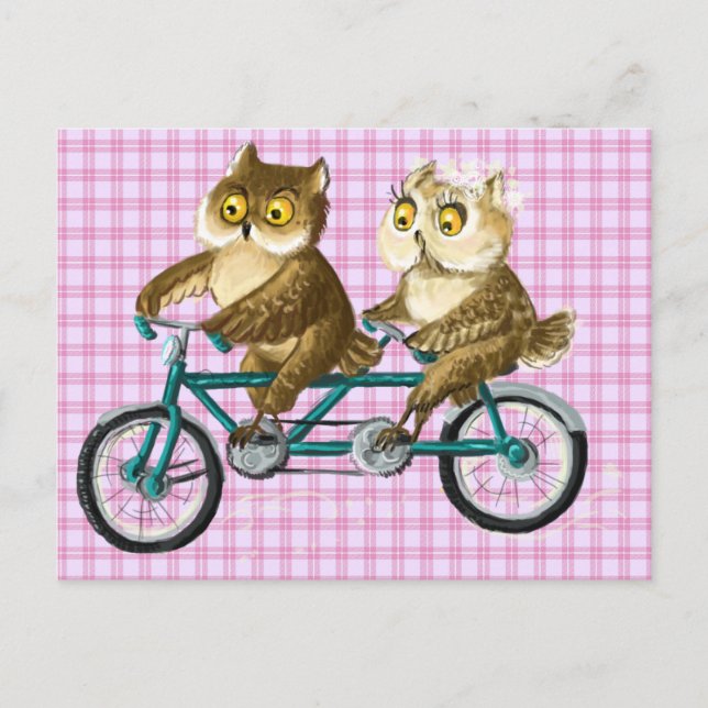 Postal Ovejas de bicicleta (Anverso)