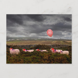 Postal Ovejas de cumpleaños