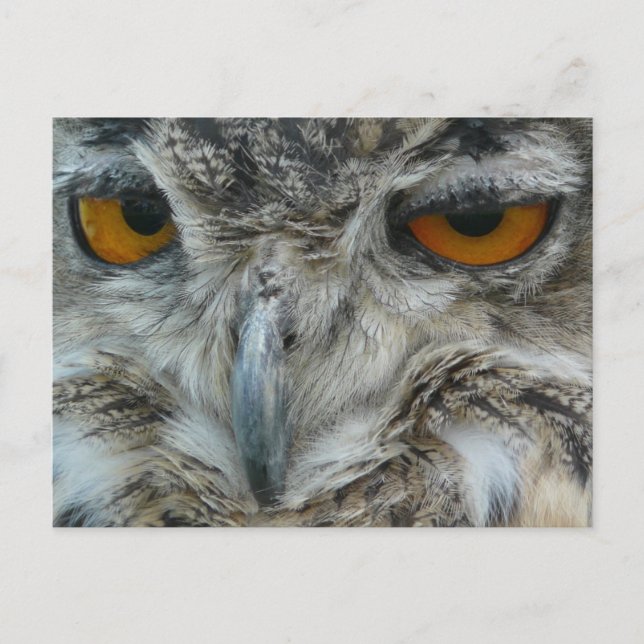 Postal Ovulina águila (Anverso)