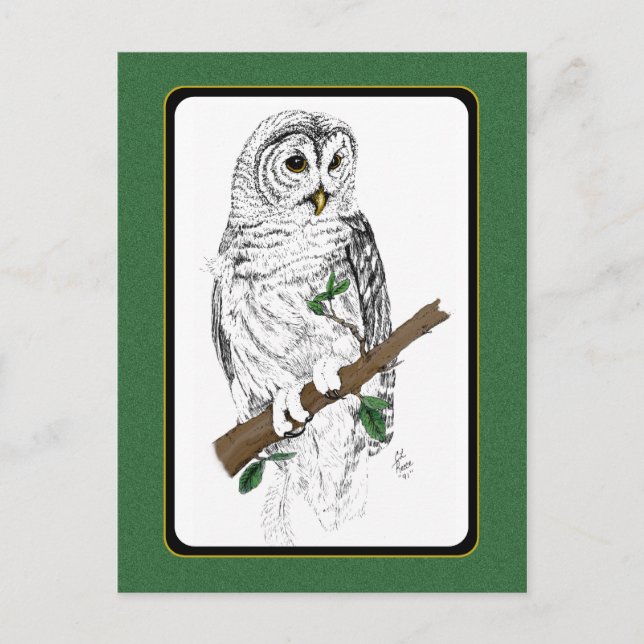 Postal Owl 3 (Anverso)