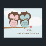 Postal Owl Always Love You Sweet Couple Postcard<br><div class="desc">Sweet little owls on a delicate tree branch professing "owl always love you".</div>