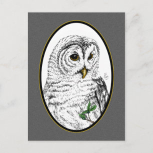 Postal Owl Cameo Postcard