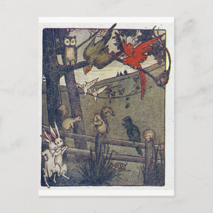 Postal Owl Da Un Fiesta