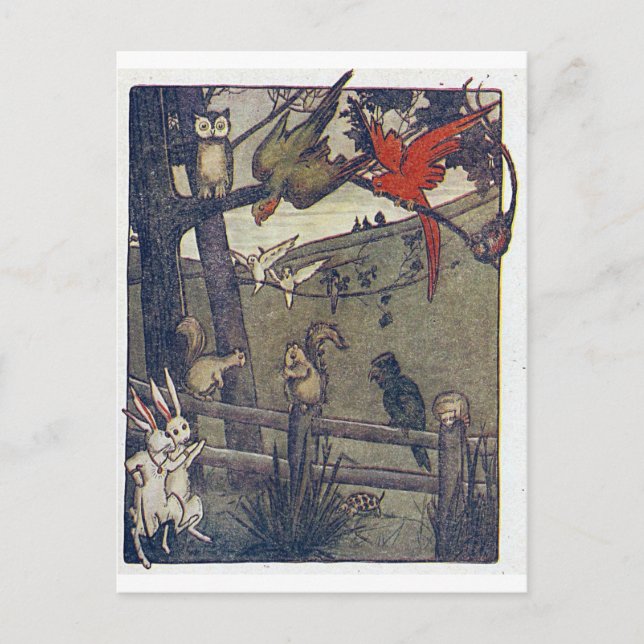 Postal Owl Da Un Fiesta (Anverso)