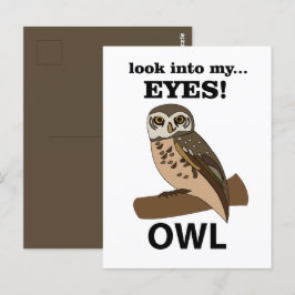 Postal Owl Look In My Eyes Owl