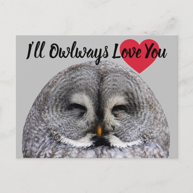 Postal Owl Love Valentine (Anverso)