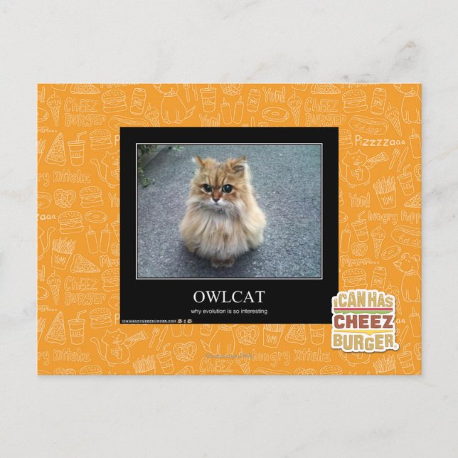 Postal Owlcat (Anverso)