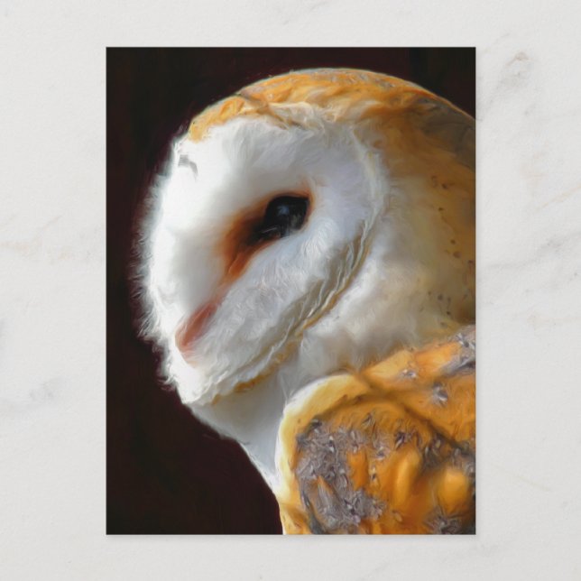 POSTAL OWLS (Anverso)