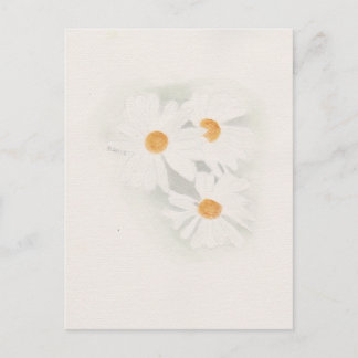 Postal Ox eye daisy