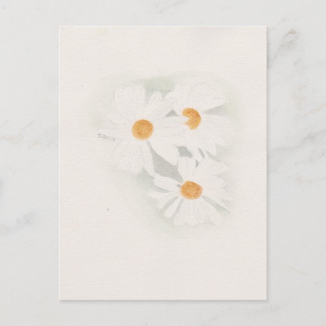 Postal Ox eye daisy (Anverso)