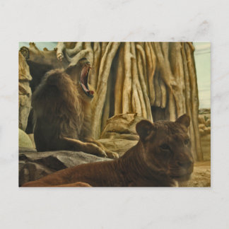 Postal ¡Óyeme Rugir!