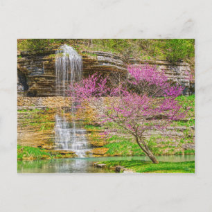 Postal Ozarks Waterfall Spring Bluff