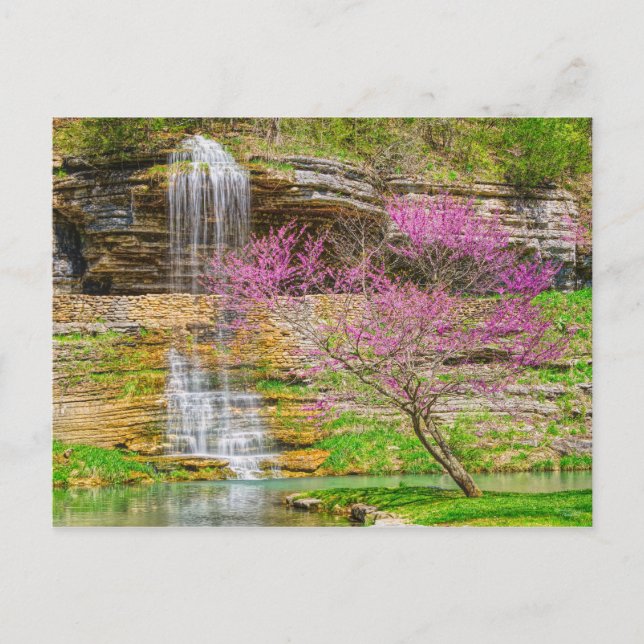 Postal Ozarks Waterfall Spring Bluff (Anverso)