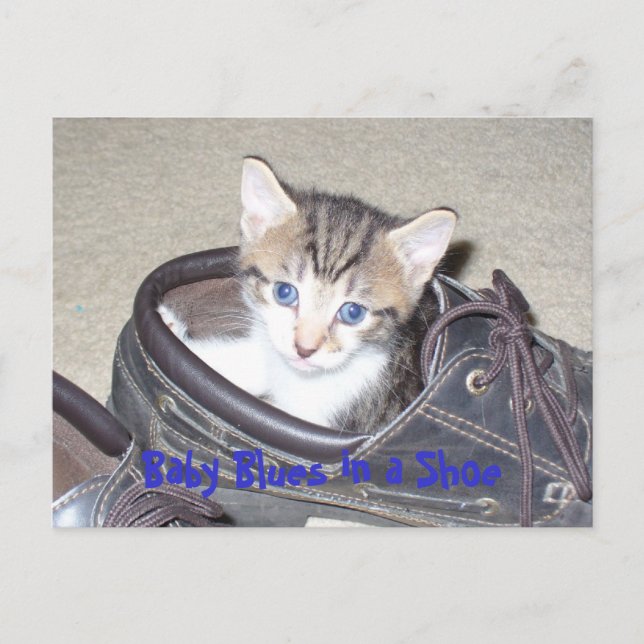 Postal P1020640_153_153, Baby Blues in a Shoe (Anverso)