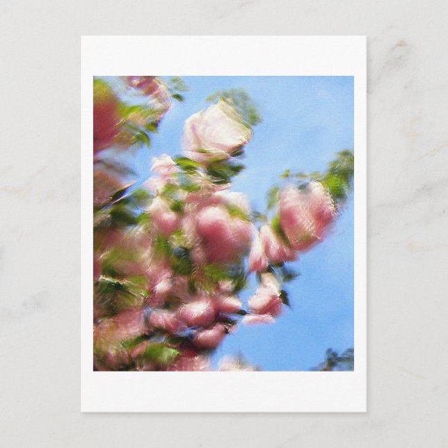 POSTAL P4240442 (Anverso)