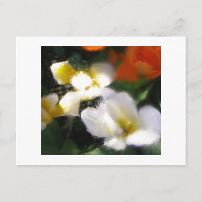 POSTAL P4290105 (Anverso)