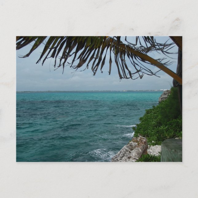 POSTAL P6240185 (Anverso)