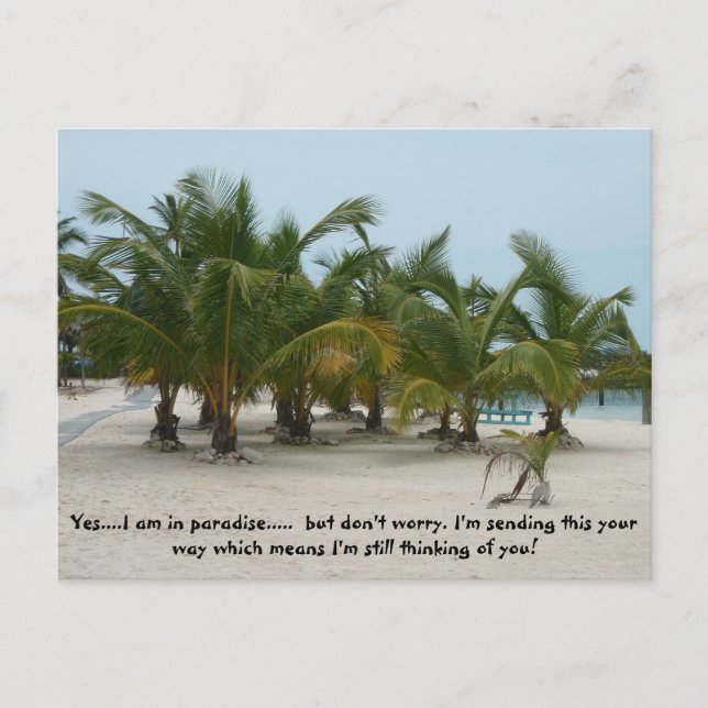 Postal P6240208, Sí...Estoy en el paraíso.....  pero don. (Anverso)