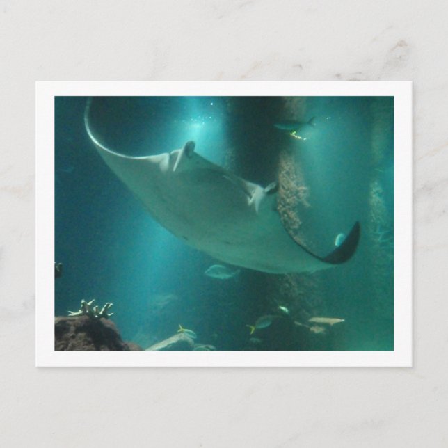 POSTAL P6250309 (Anverso)