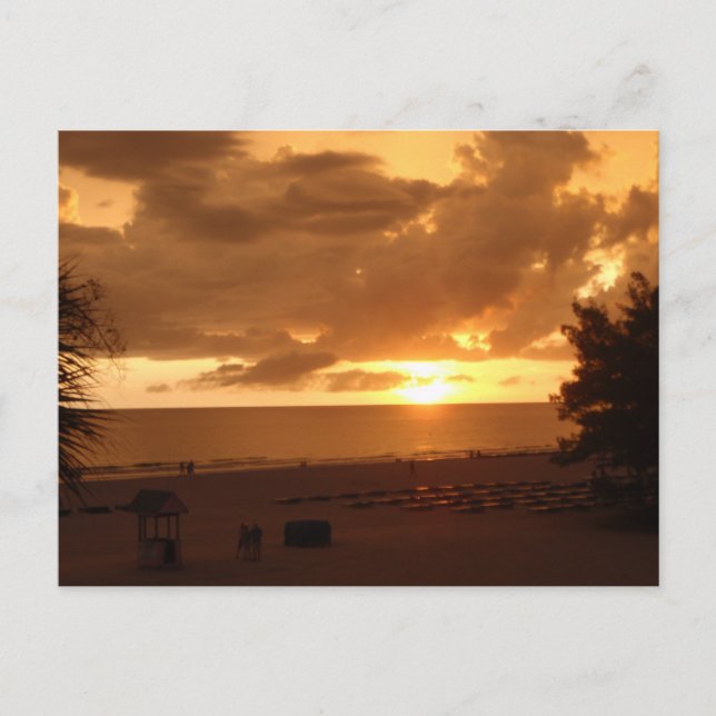 POSTAL P8190544 (Anverso)