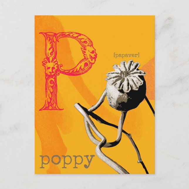 Postal P es para Poppy (Anverso)