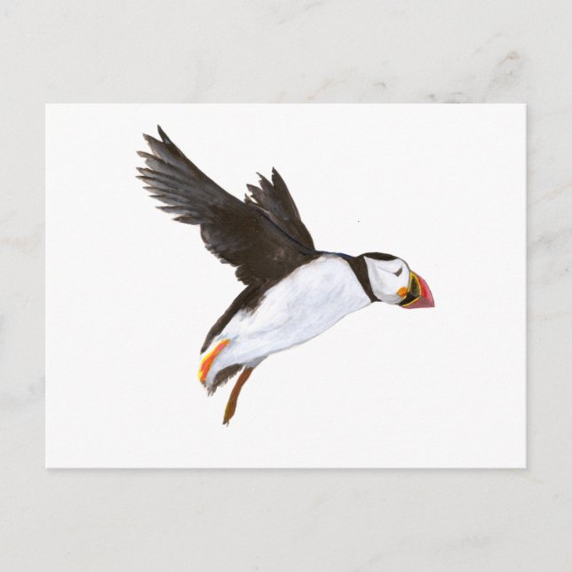 Postal P. Puffin / postale a la carta (Anverso)