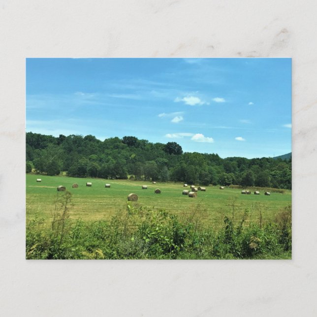 Postal Pacas de heno, Wytheville, Virginia (Anverso)