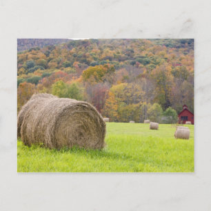 Postal Pacas de heno y follaje de otoño en granja,