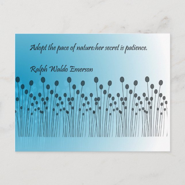 Postal Paciencia (Anverso)