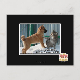 Postal Paciencia, Grasshopper.