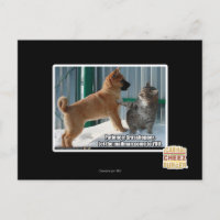 Paciencia, Grasshopper.