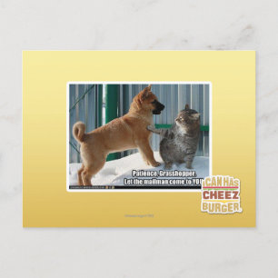 Postal Paciencia, Grasshopper.