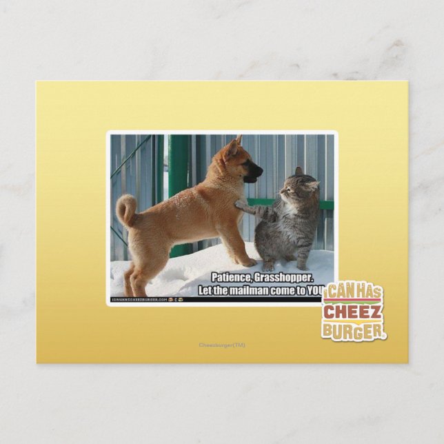 Postal Paciencia, Grasshopper. (Anverso)