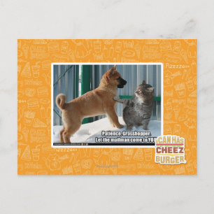 Postal Paciencia, Grasshopper.