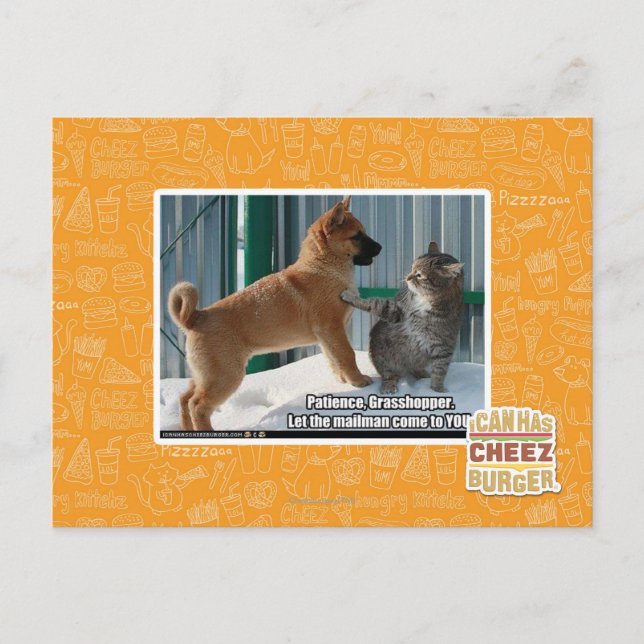 Postal Paciencia, Grasshopper. (Anverso)