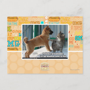 Postal Paciencia, saltamontes