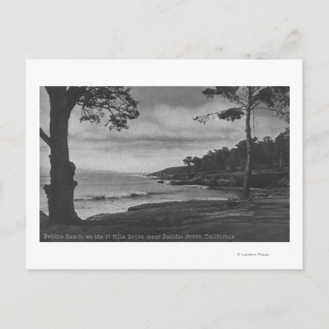 Postal Pacific Grove, CA - Playa de guijarros en 17 milla (Anverso)