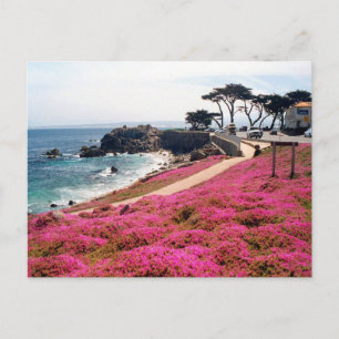 Postal Pacific Grove-Monterey Calif