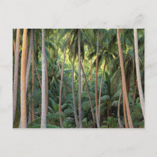 Postal Pacífico Sur, Polinesia Francesa, Bora Bora.