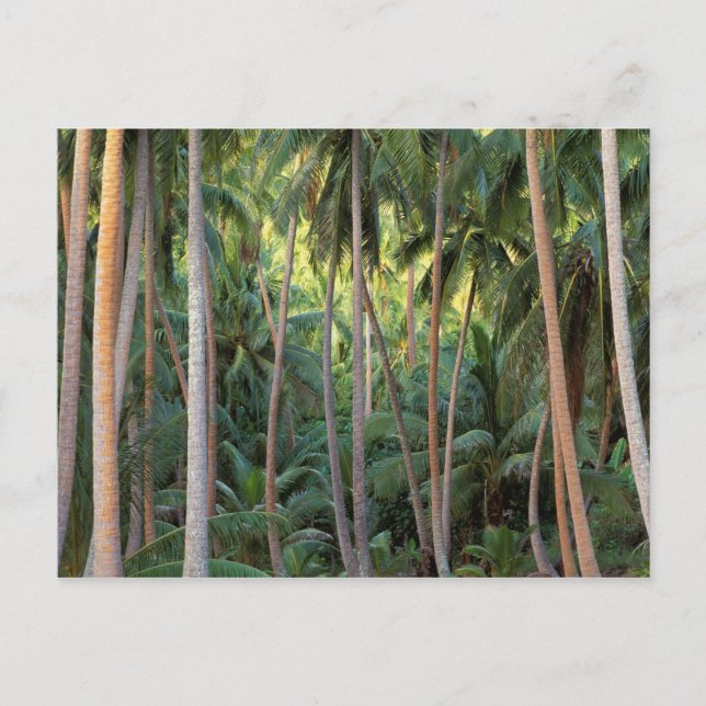 Postal Pacífico Sur, Polinesia Francesa, Bora Bora. (Anverso)